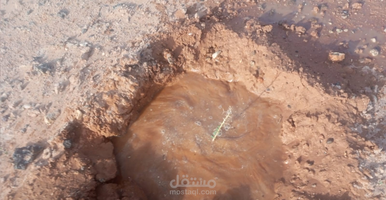 إعداد تقارير