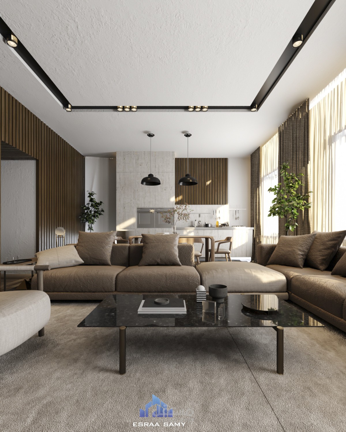 Living room and kitchen