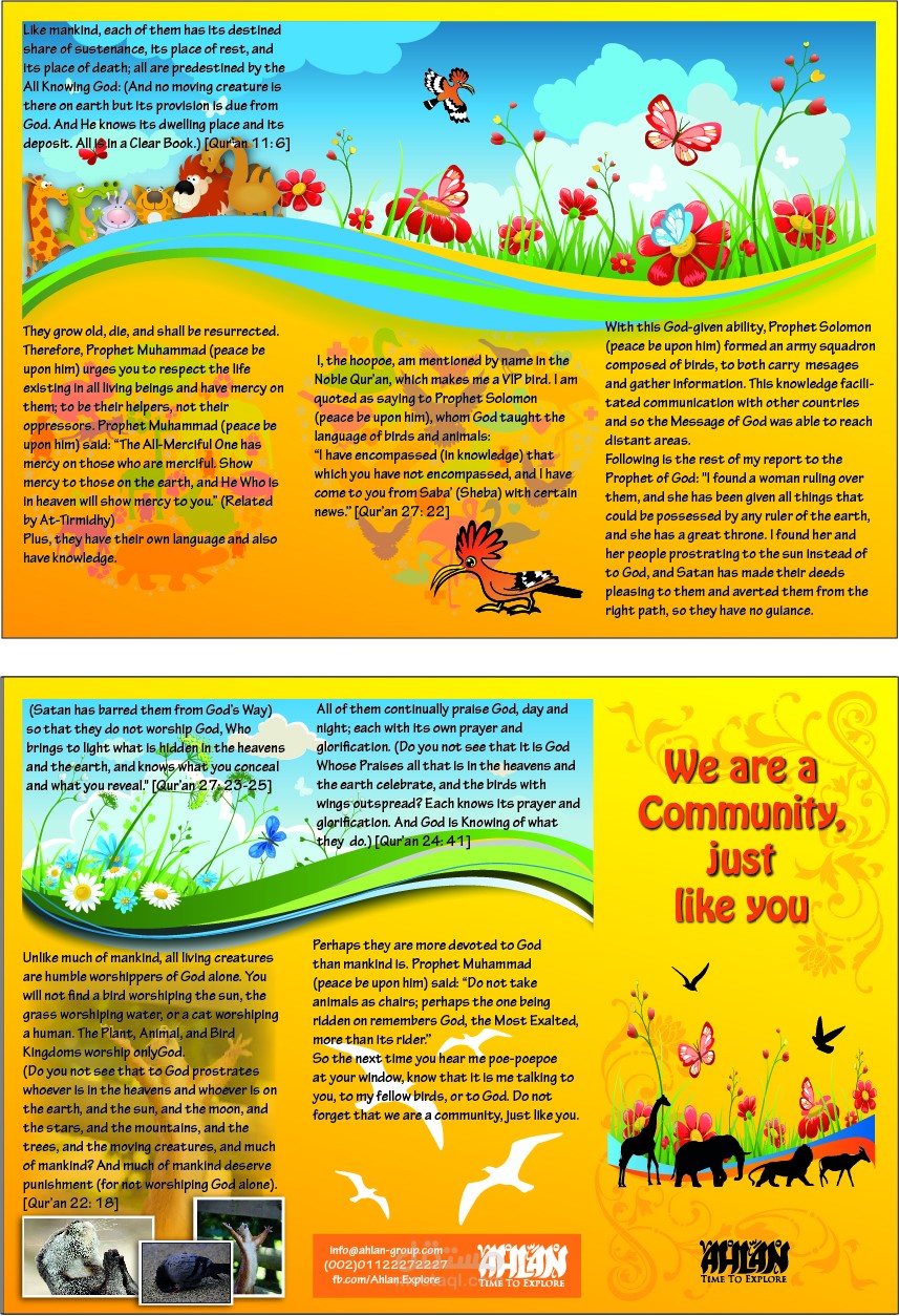 مطوية للأطفال