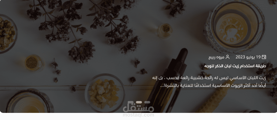 كتابة المقالات وفق السيو