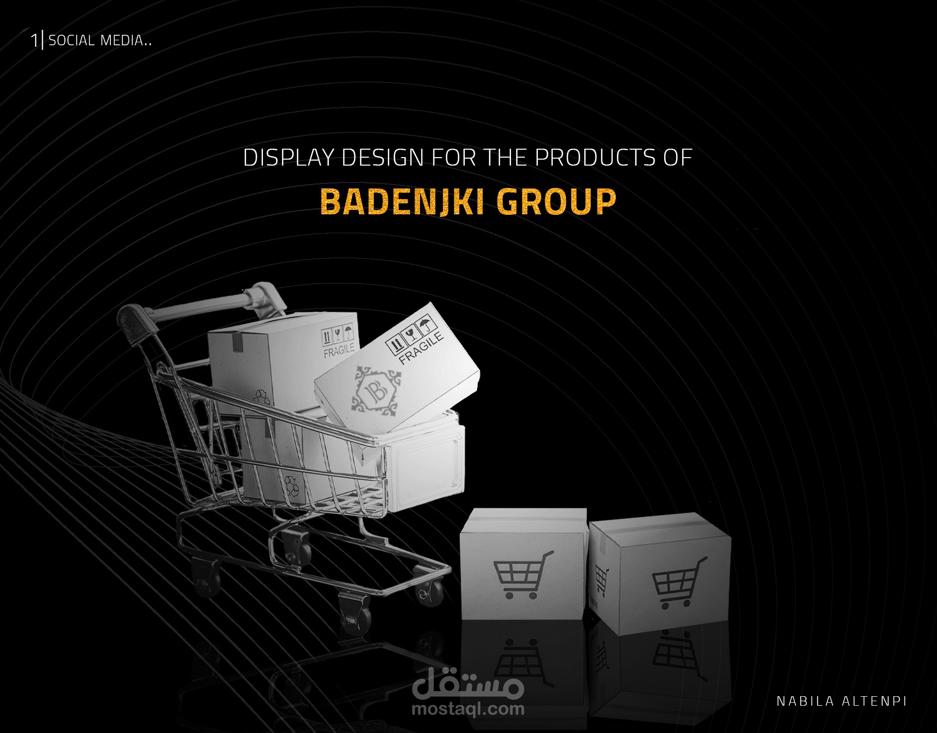 display products in a professional way for Badenjki Group