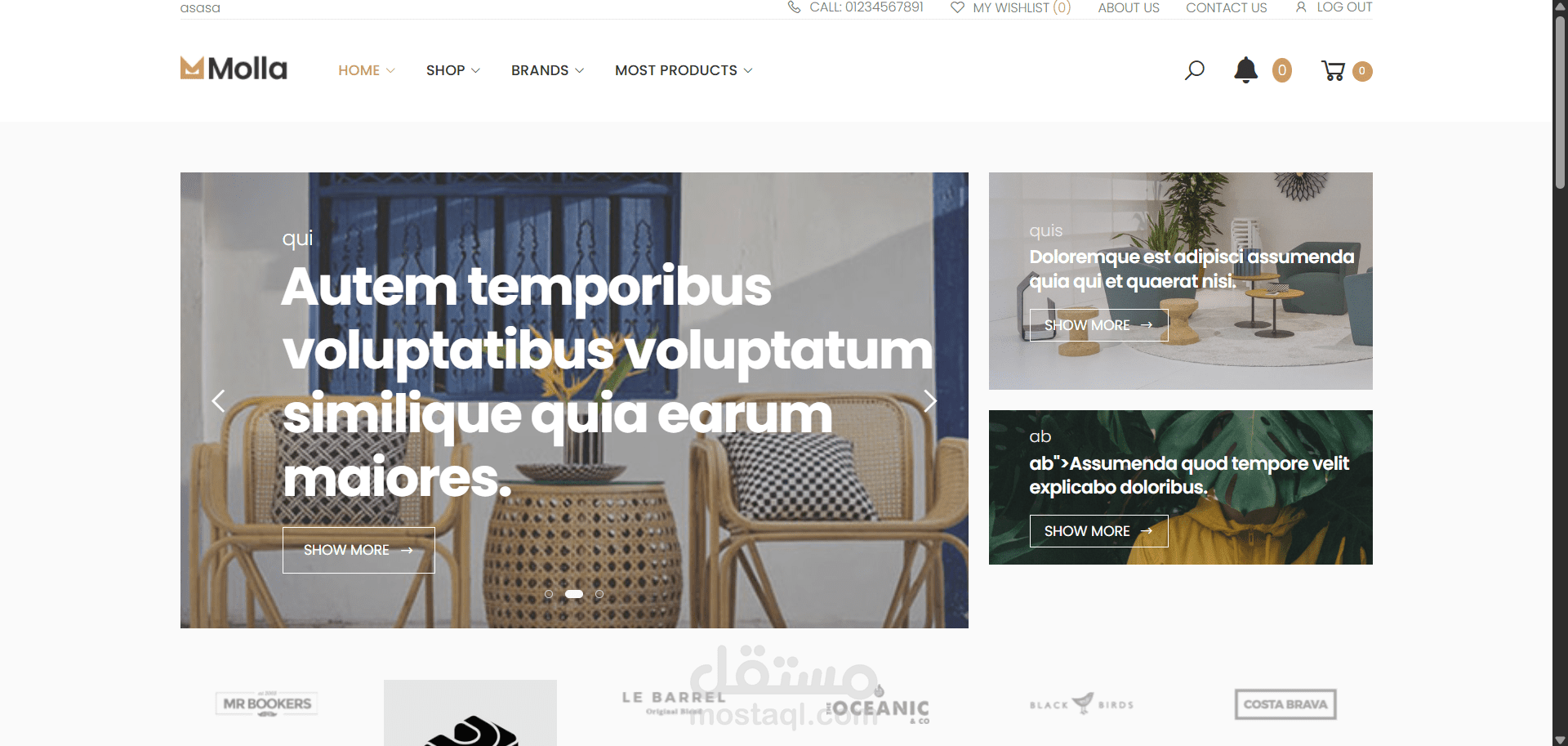 موقع متجر الكتروني لتجارة المنتجات و البيع اونلاين