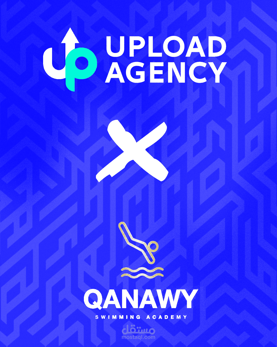 “Qanawy Academy “ Social Media Campaign