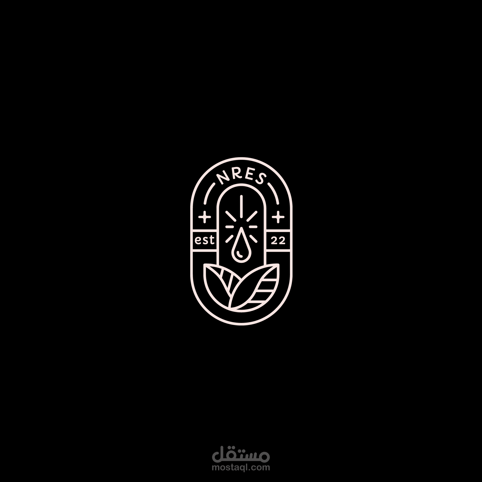 NRES Saudi company option 2