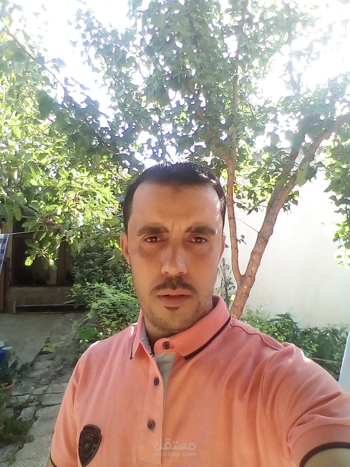 كتابة المحتوى و تحرير المقالات و التدقيق اللغوي