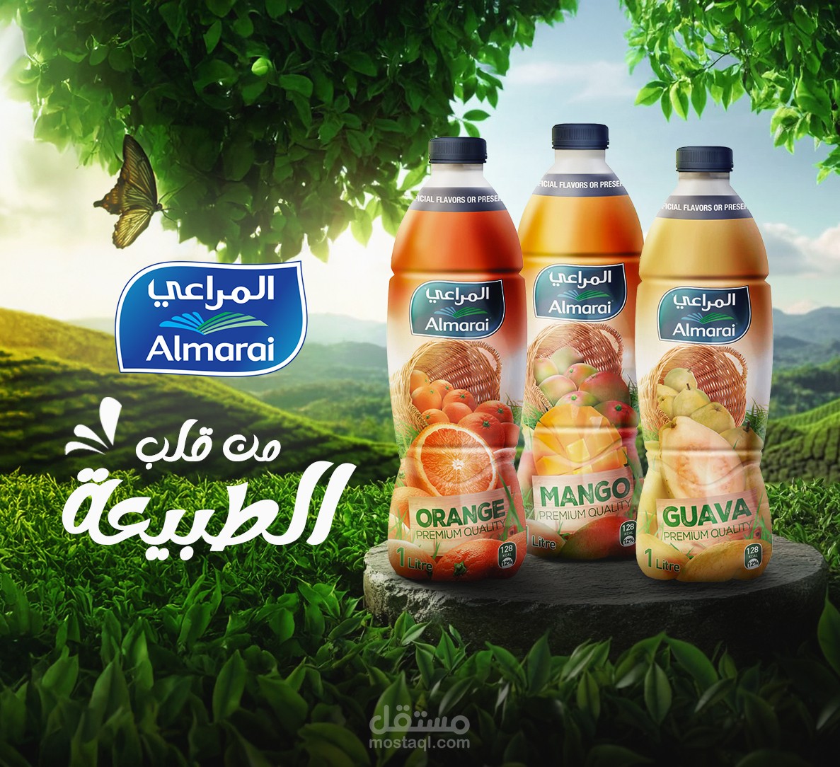 تصميم سوشيال ميديا