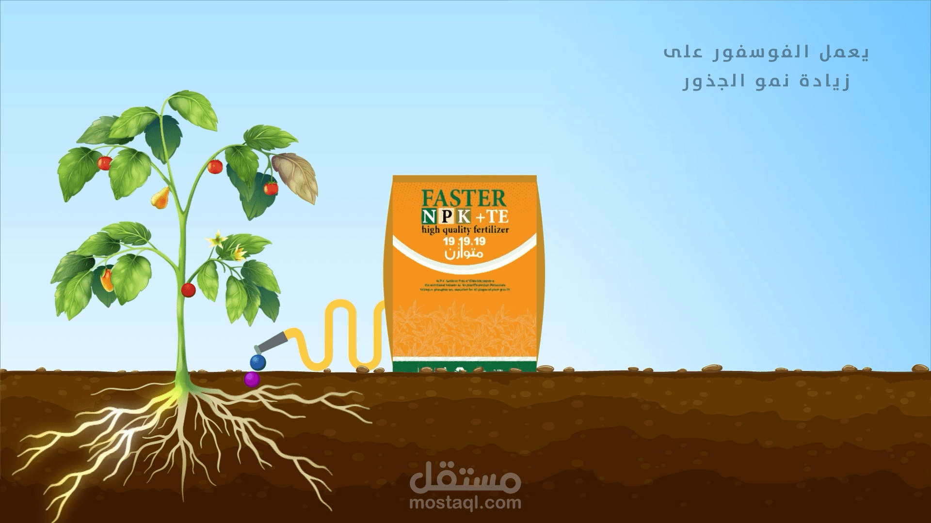 موشن جرافيك - إعلان لمنتج زراعي