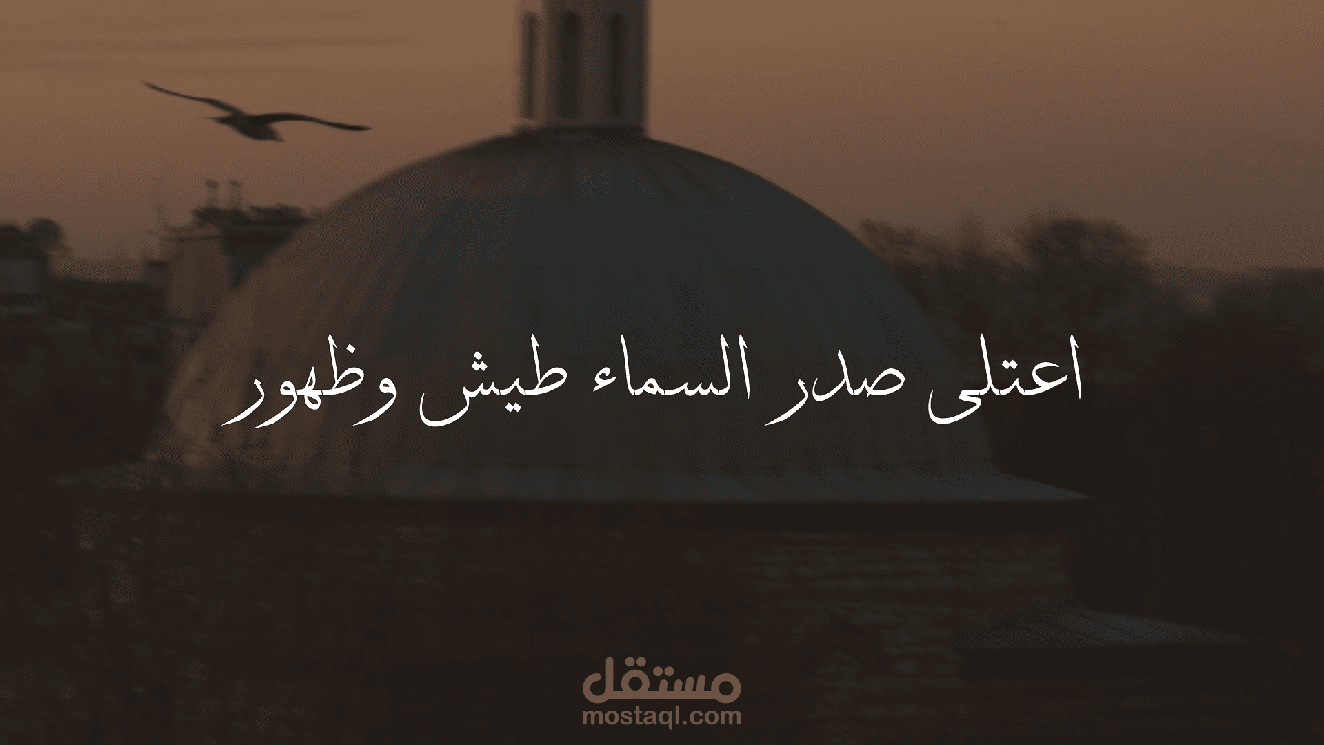 تصميم فيديو مونتاج لقصيدة