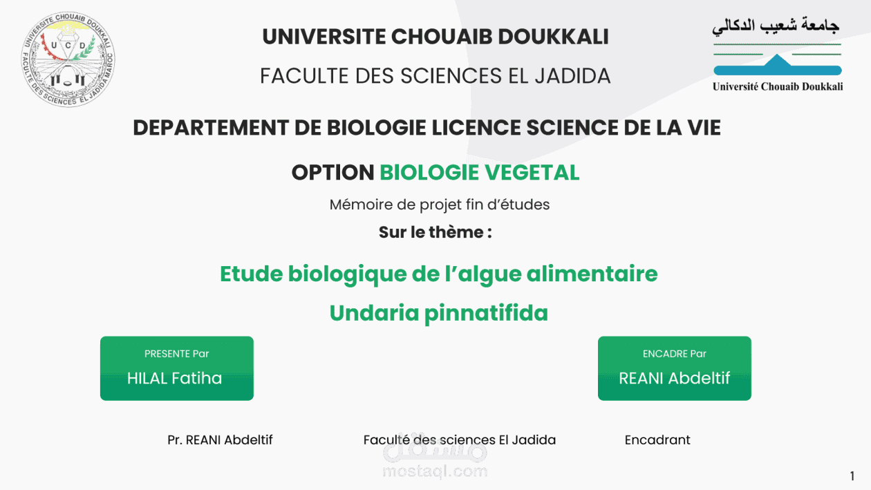 تصميم عرض تقديمي | Presentation design