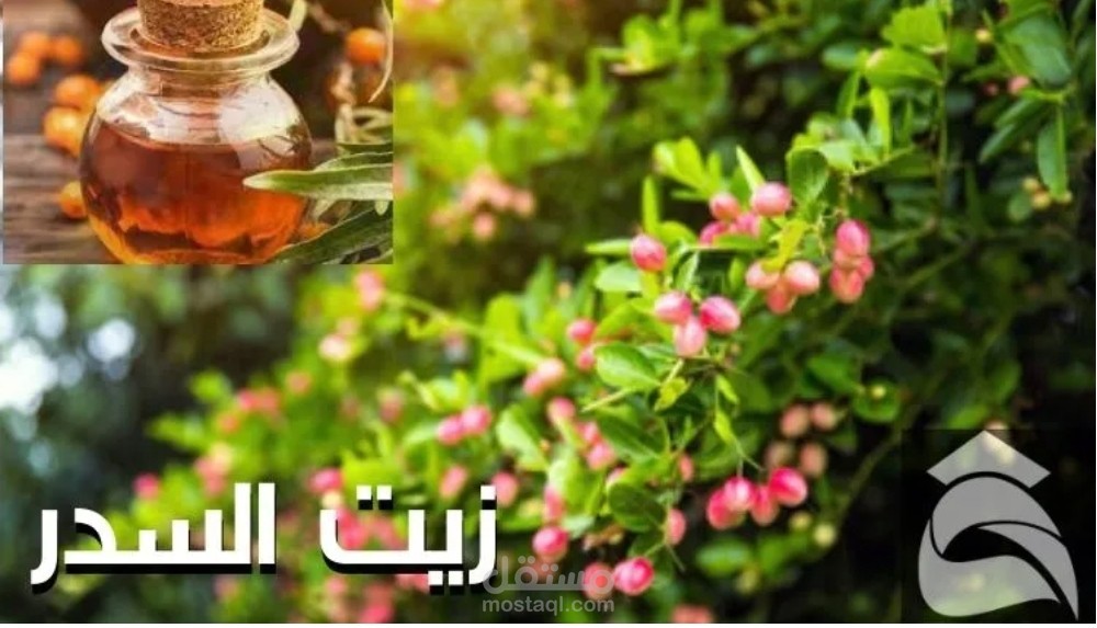 مقال على موقع فهرس: زيت السدر