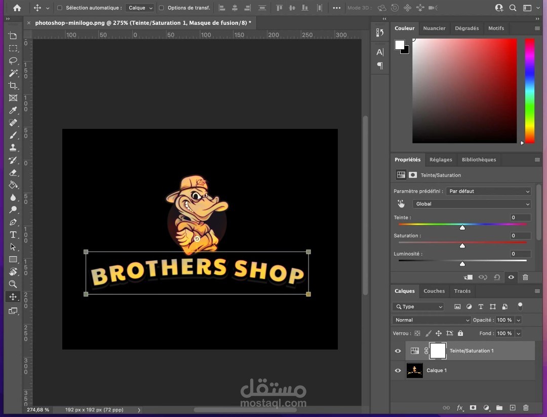 logo design