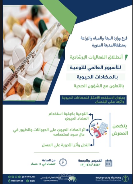 كتابة محتوى وتصميم لعدة جهات