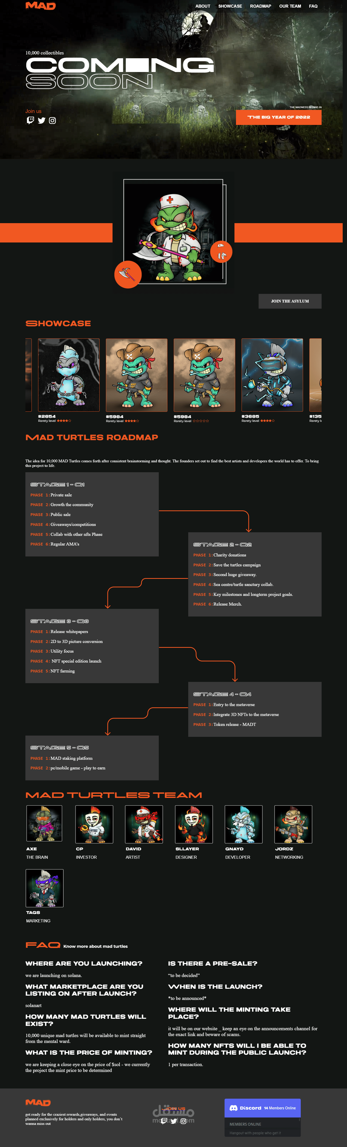 Mad Turtle Asylum NFT Website