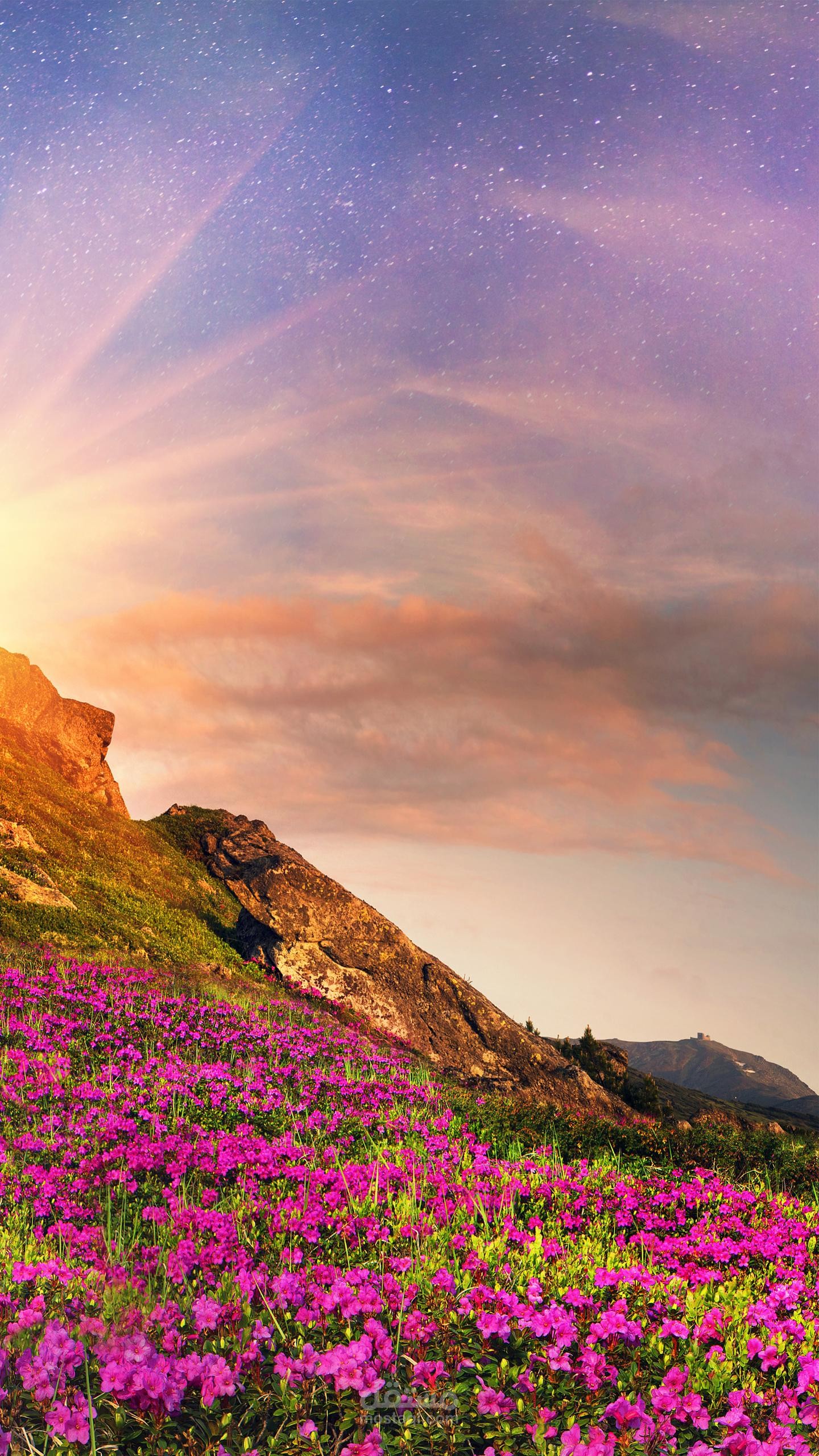 Image background