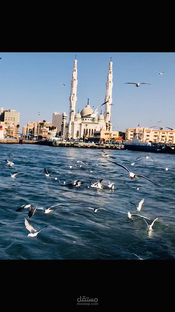 تصوير و مونتاج فيديو