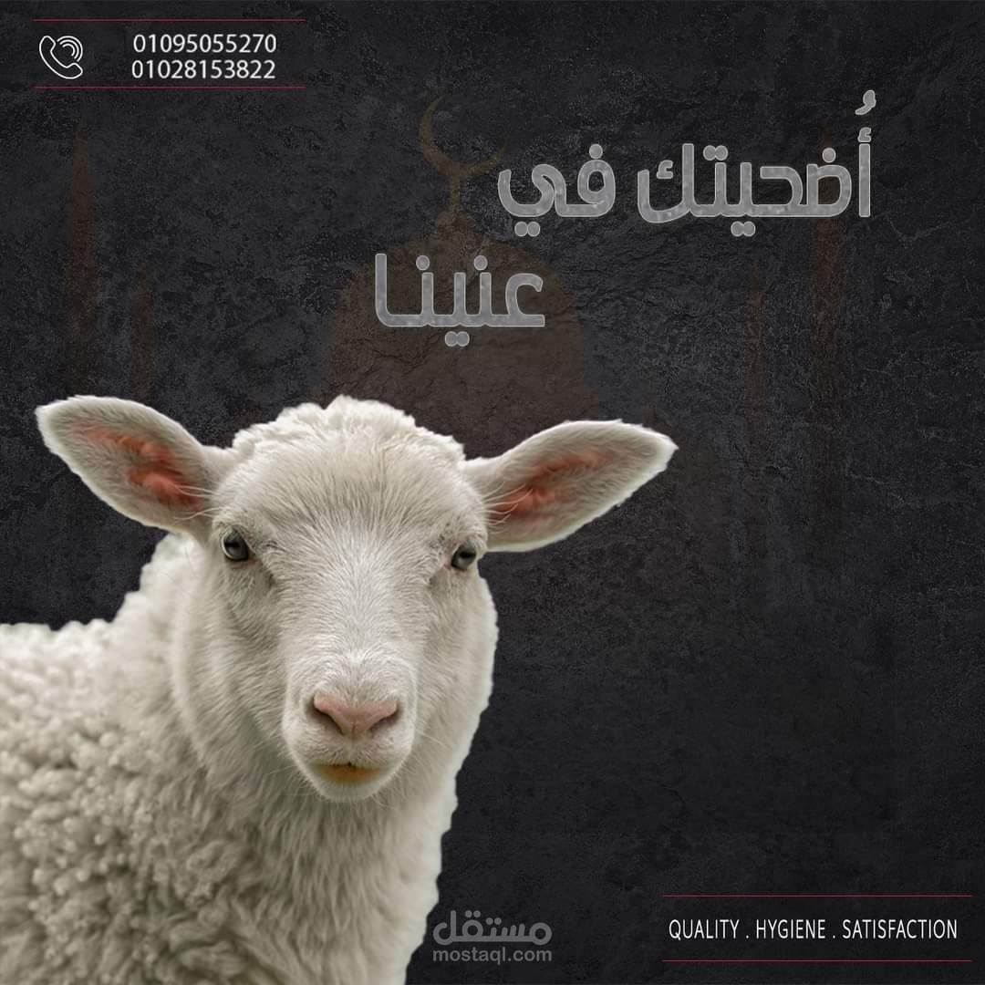 منشور تسويقي لمحل دكتور اللحمة بعنوان "أضحيتك في عينينا"