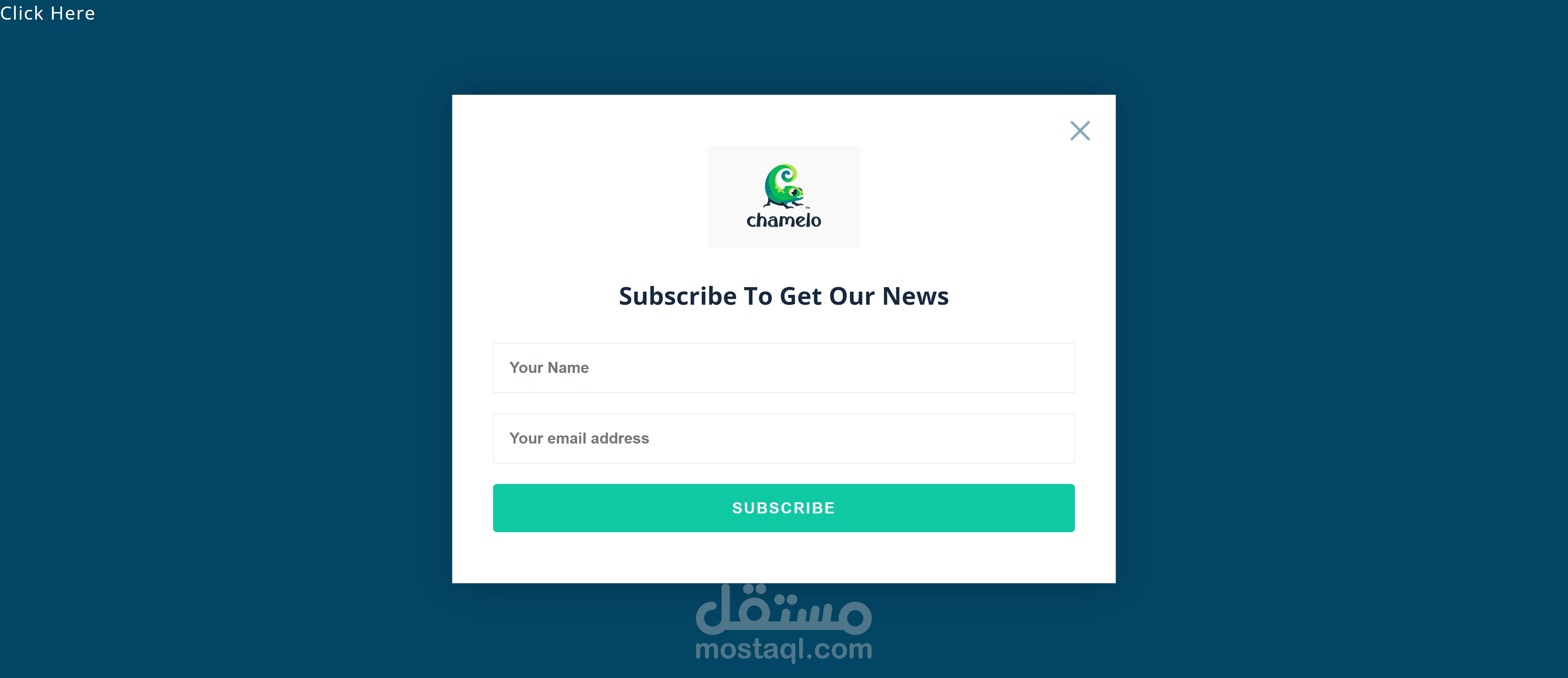website animal