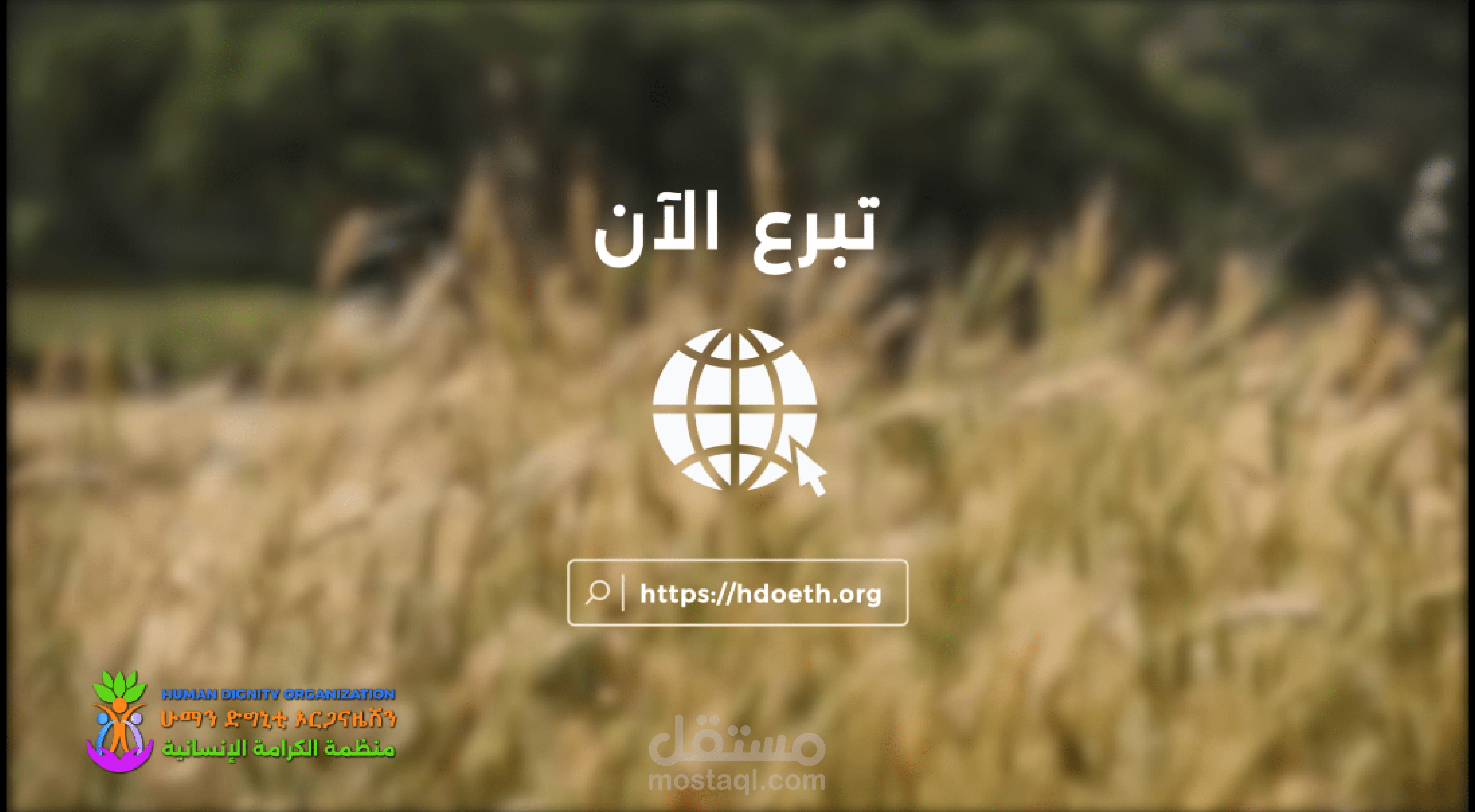 تصميم فيديو إعلاني بمقاسات مختلفة لمنظمة خيرية (منظمة الكرامة الإنسانية)