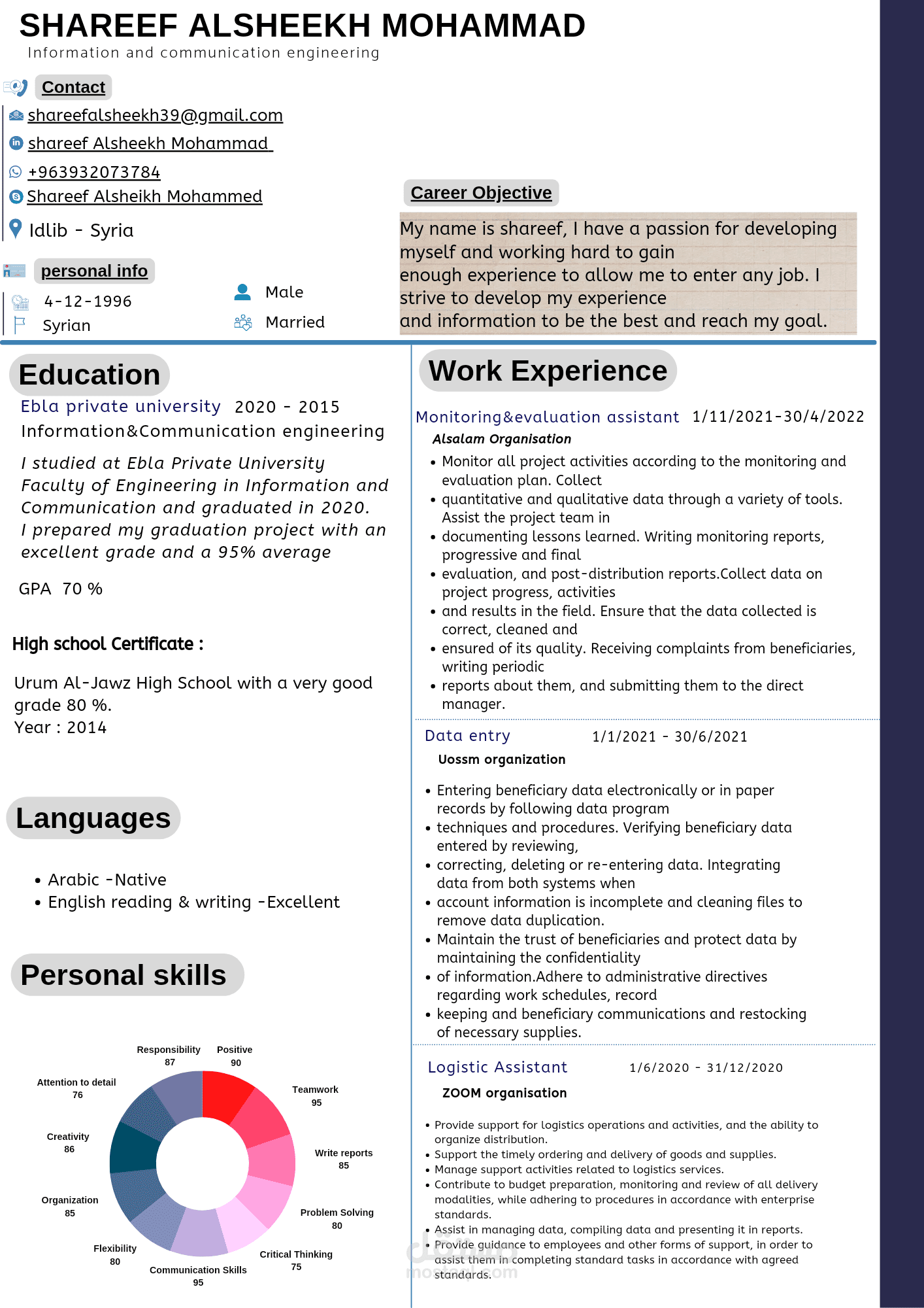 تصميم cv بقالب احترافي