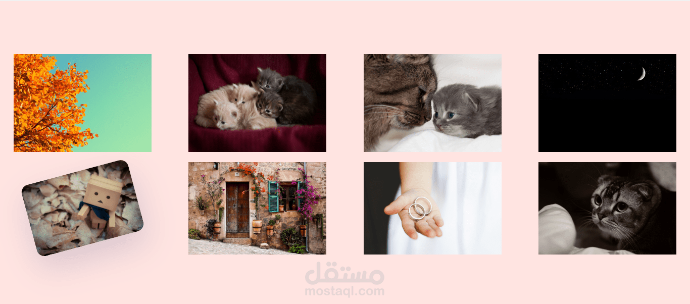 Image Gallery او معرض الصور