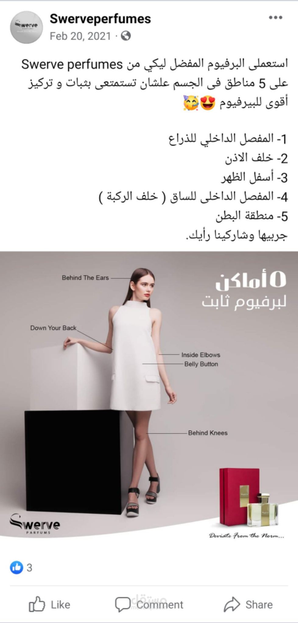 content plan & captions for perfumes company