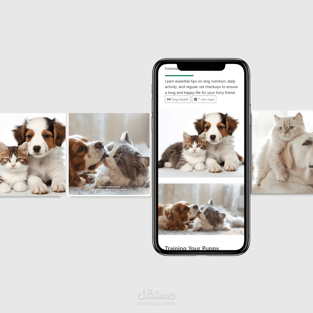 تصميم وتطوير موقع إلكتروني متكامل لعيادة بيطرية باستخدام HTML, CSS, JS و Bootstrap