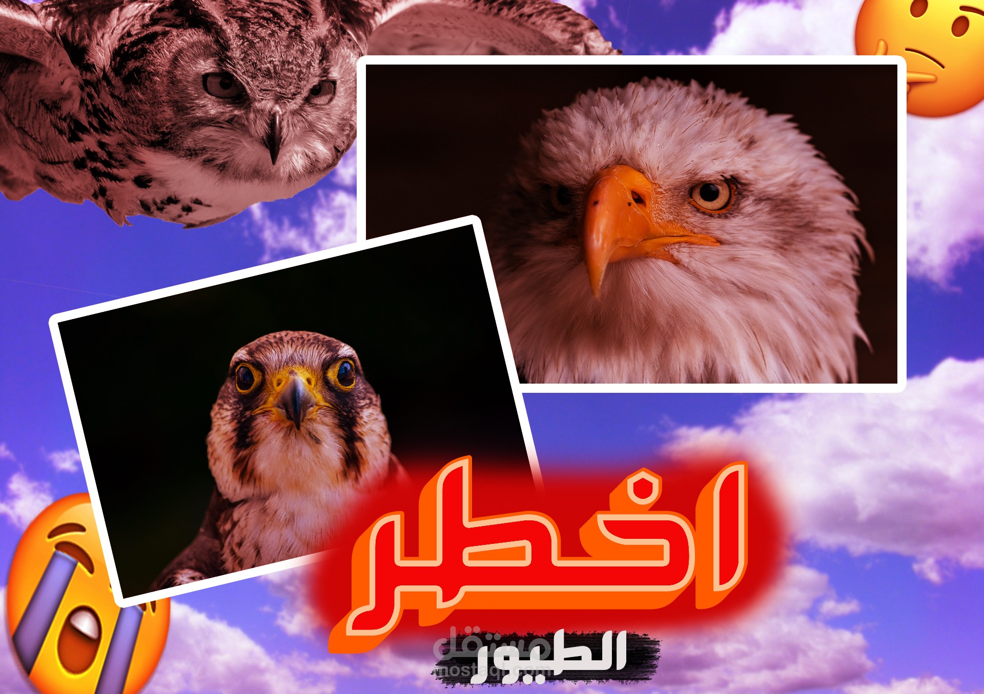 صوره مصغرة لفيديو يوتيوب