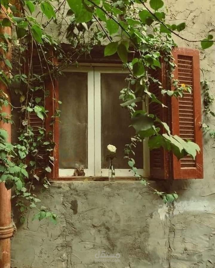 دفء الدراما السورية