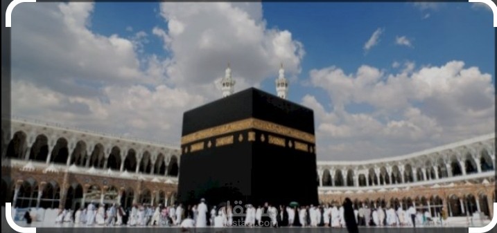 بروفايل شركة