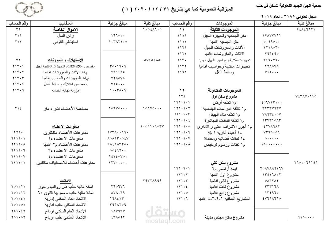 الميزانية العمومية لجمعية تعاونية سكنية ٢٠٢٠