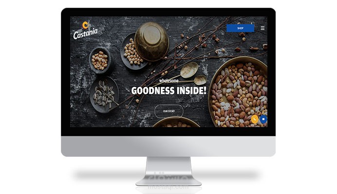 برمجة صفحة هبوط - Castania Company