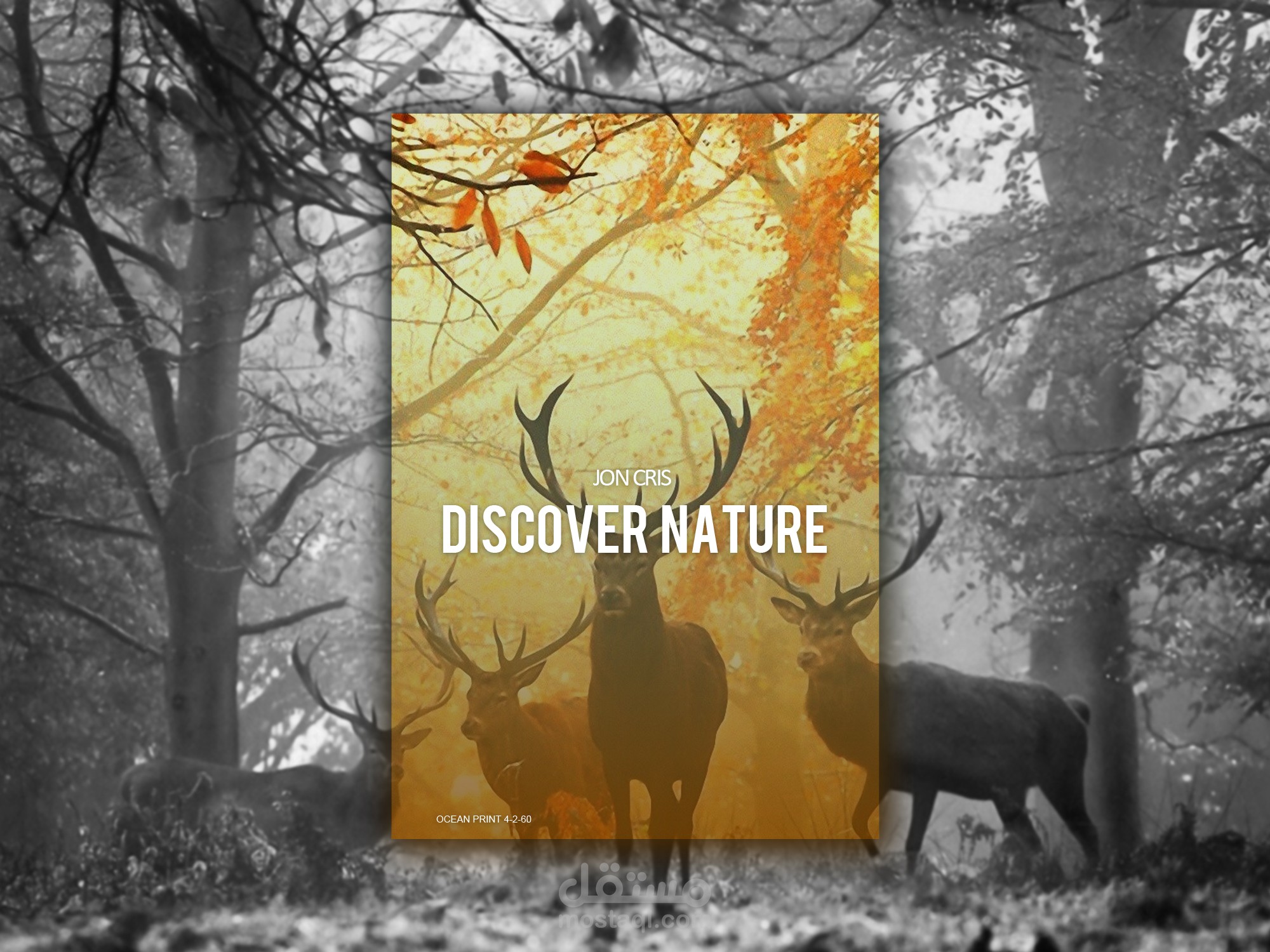 غلاف لكتاب انجليزي