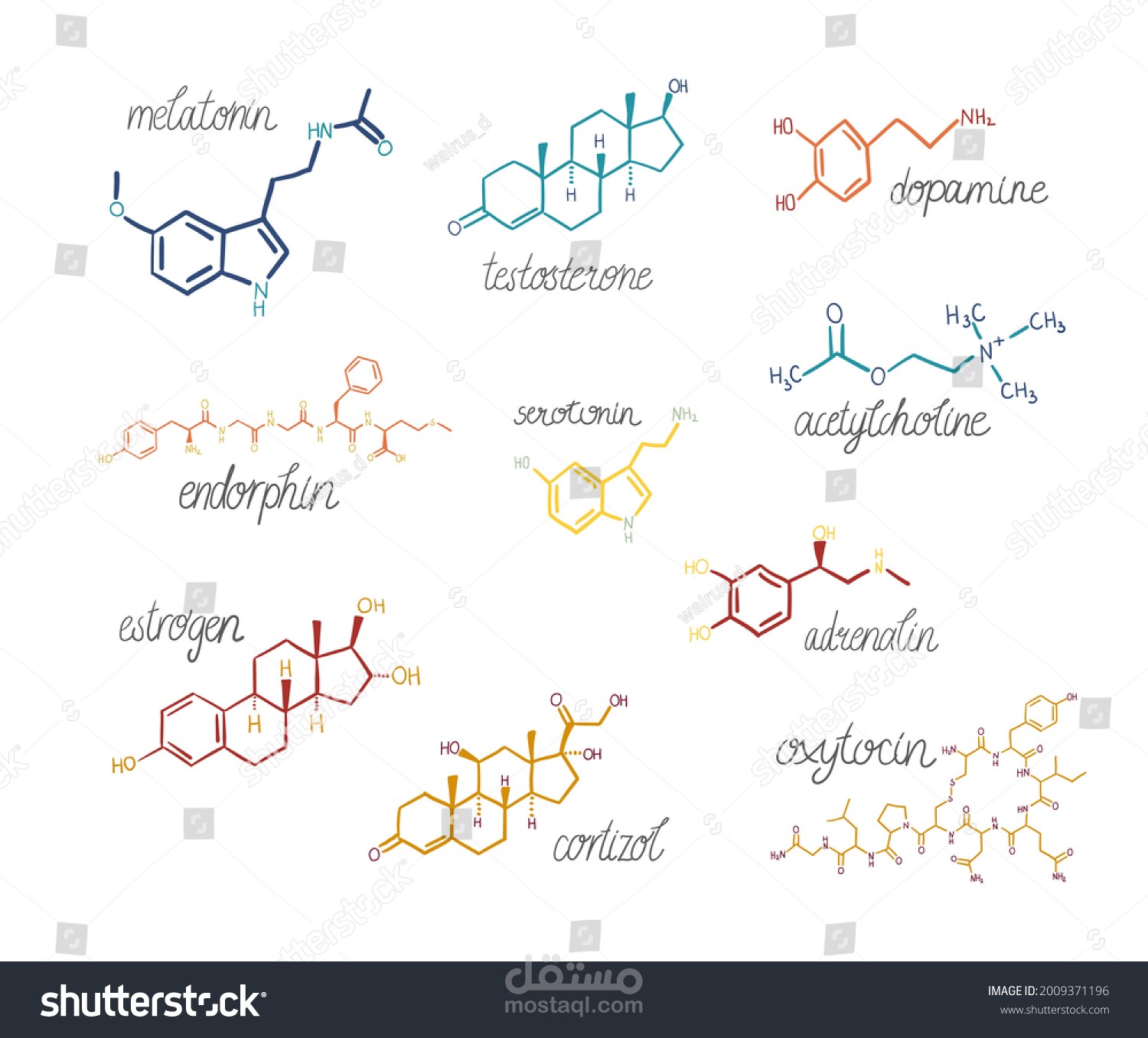 رسم المركبات الكيميائيه الصعبه بالكيم سكتش