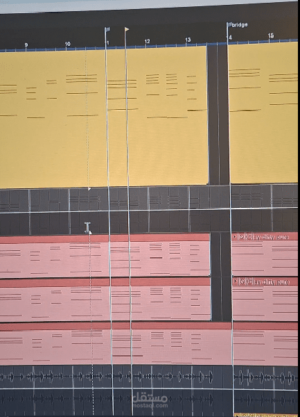 فيديو مصور توزيع غيتارات