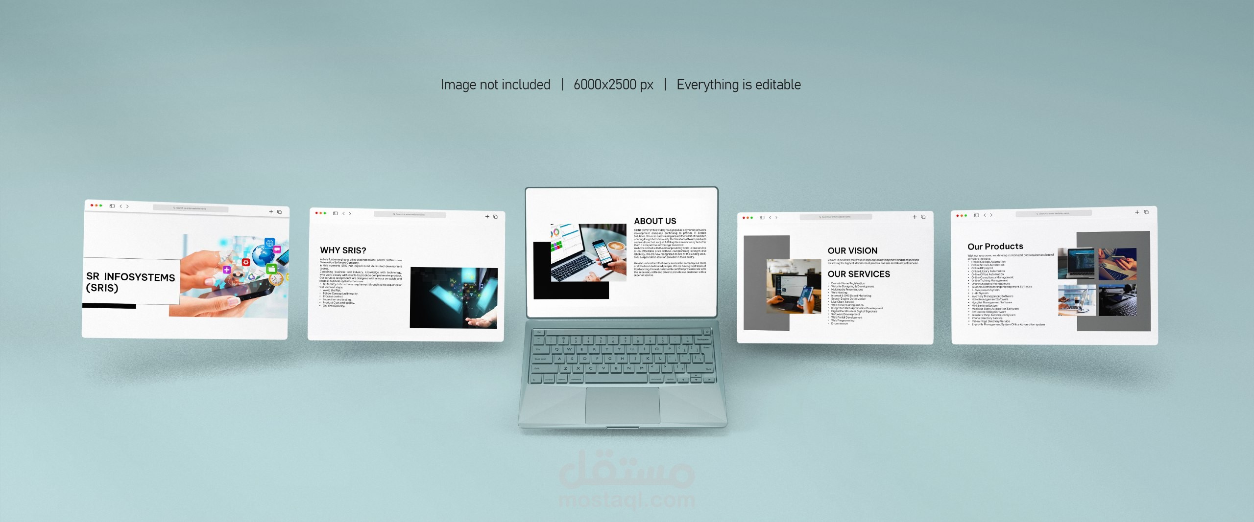 تصميم بروفايل الكتروني لشركة srinfosystems
