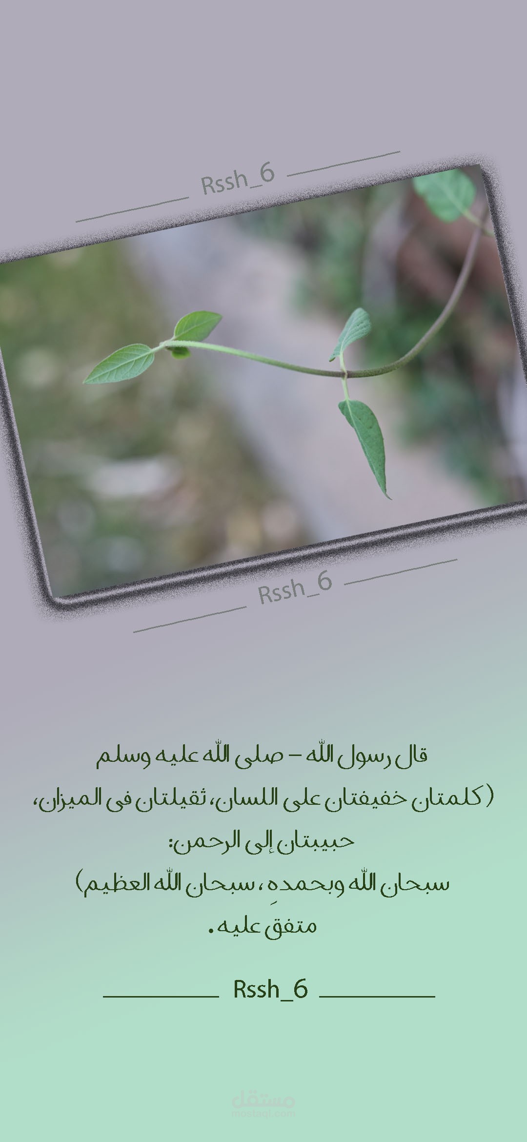 بوستات للسناب