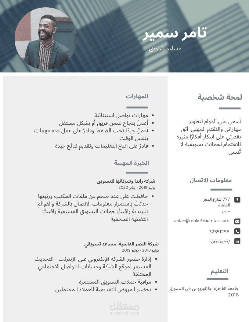 سيرة ذاتية احترافية