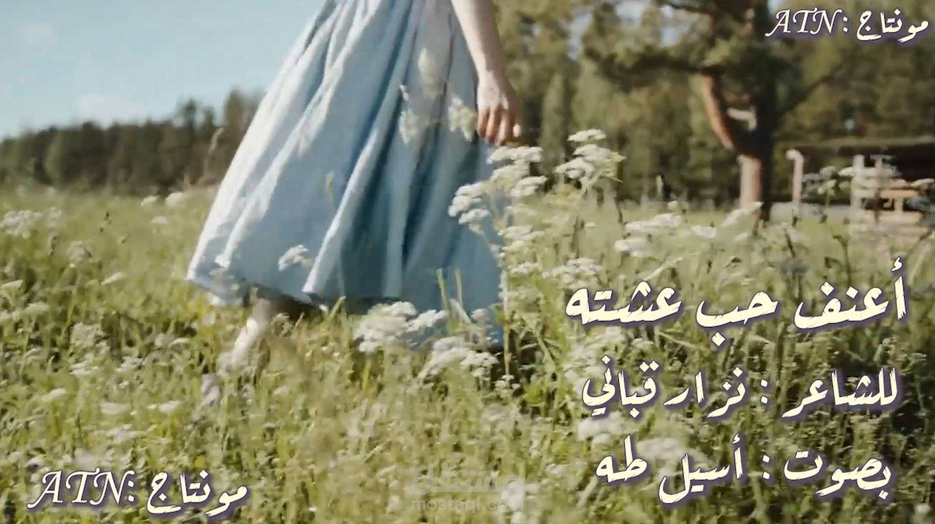 تعليق صوتي و تحرير الصوت