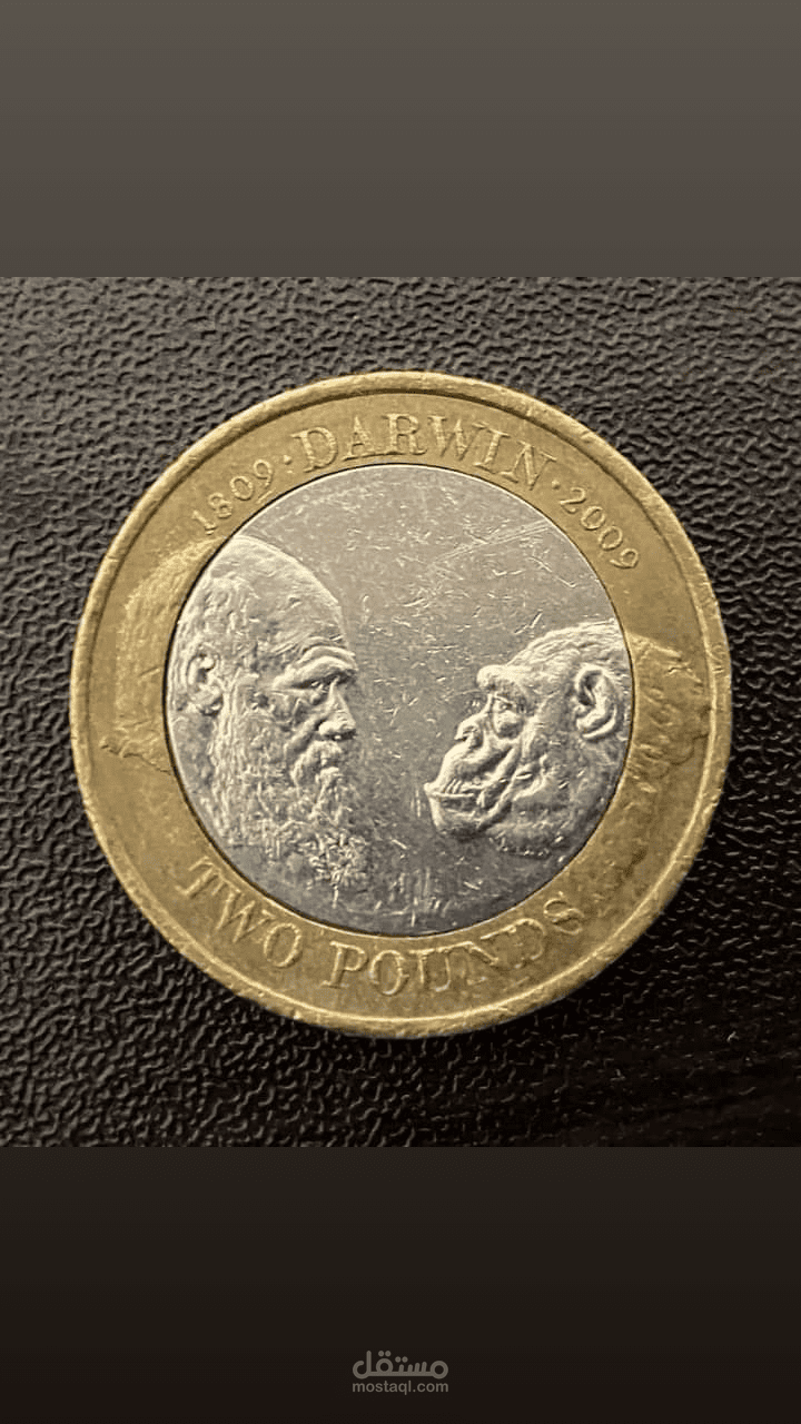 إعلان افتتاحي لمطعم أسماك