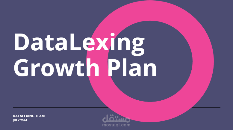 DataLexing Performance Plan