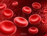 Haematology Teacher