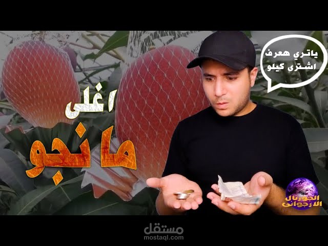 فيديو يوتيوب بدون تصوير