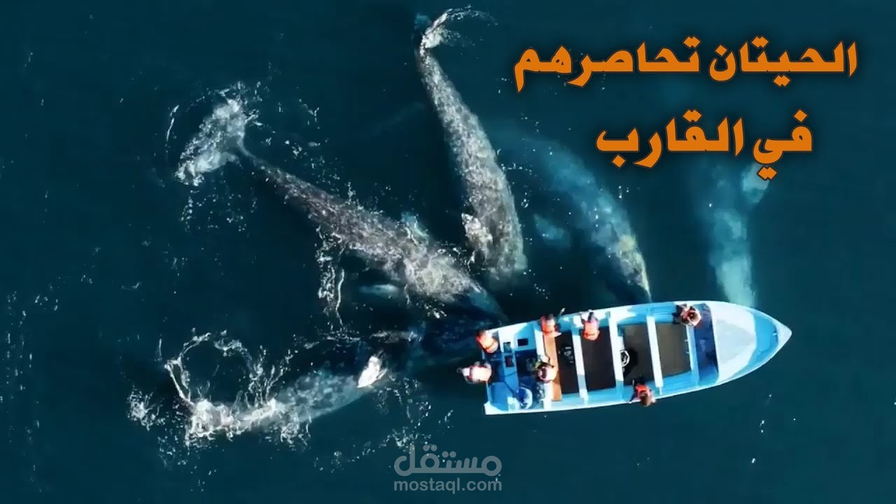 فيديو قصير لليوتيوب