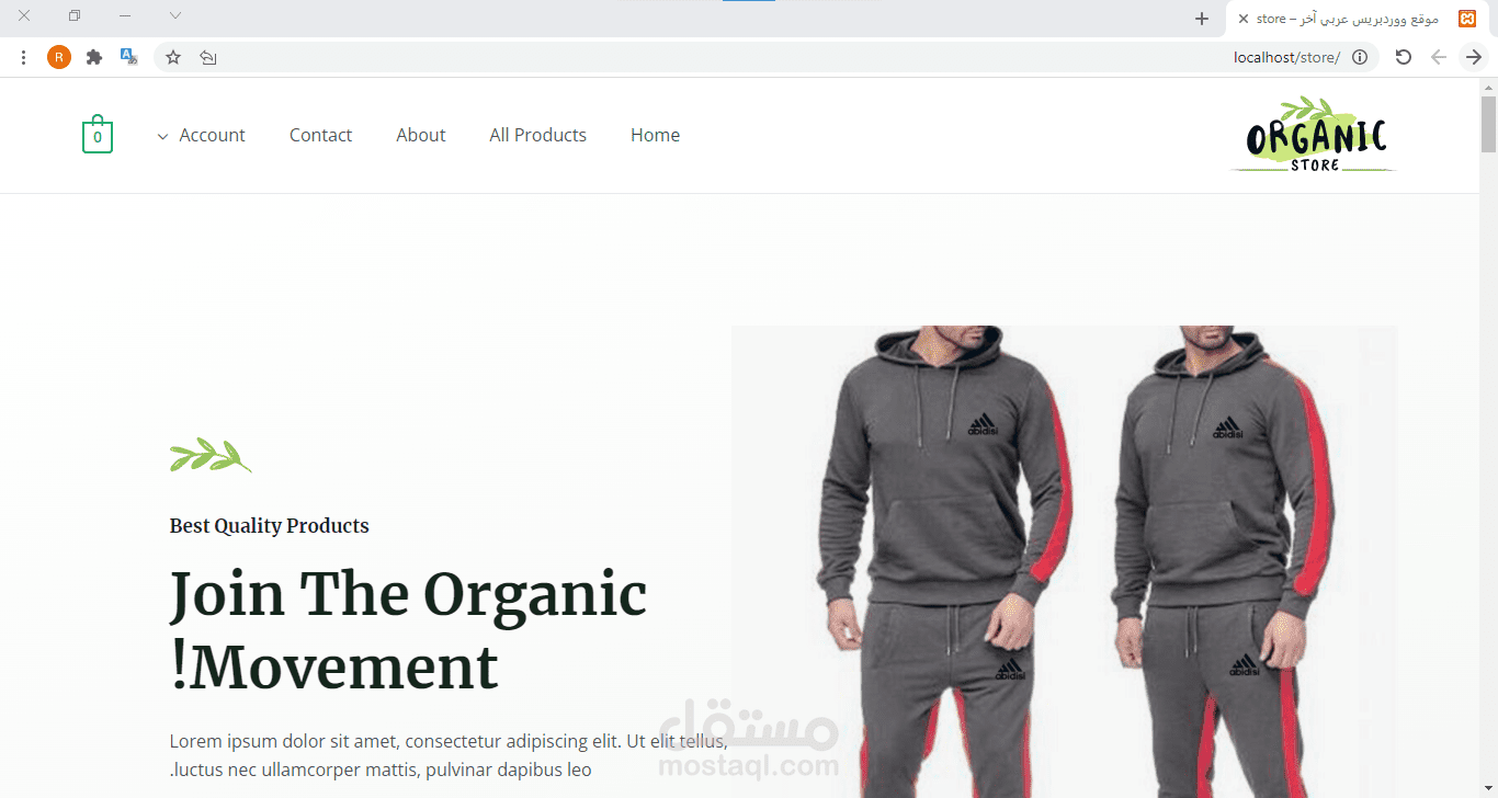 تصميم موقع أو متجر Wordpress