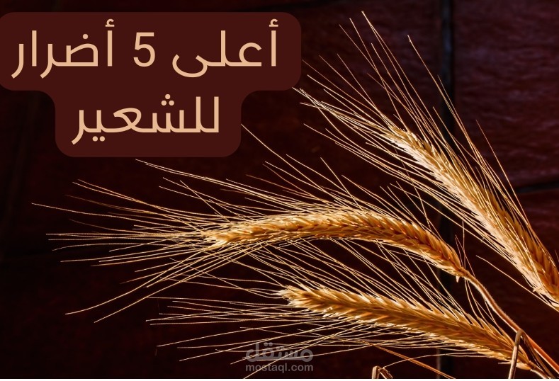 أعلى 5 أضرار للشعير