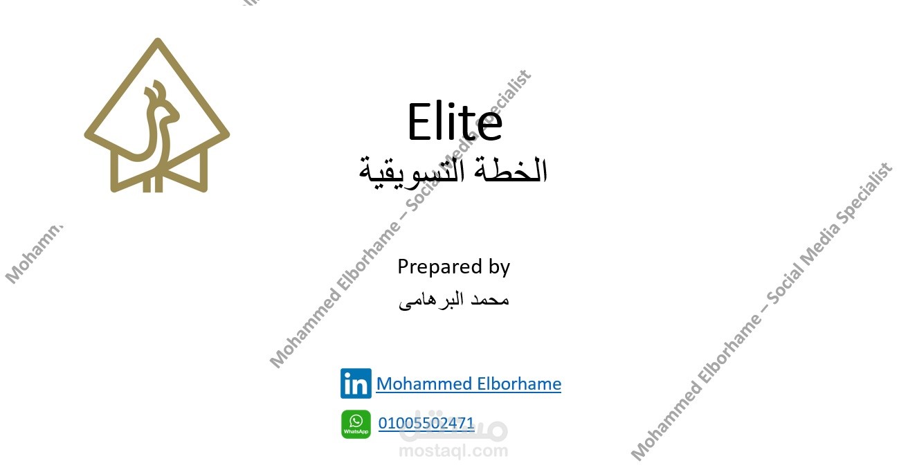 خطة تسويقية مبدئية لشركة Elite