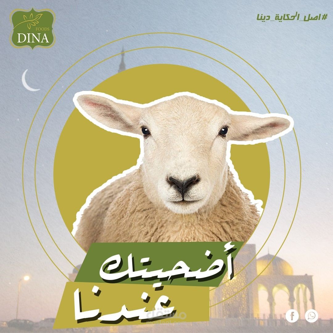 تصميم سوشيال ميديا جزاره دينا