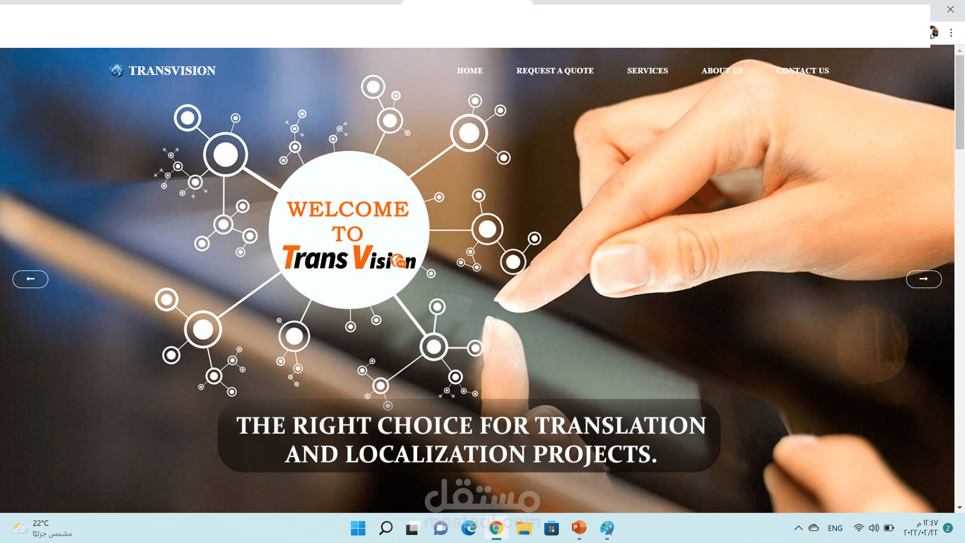 TransVision