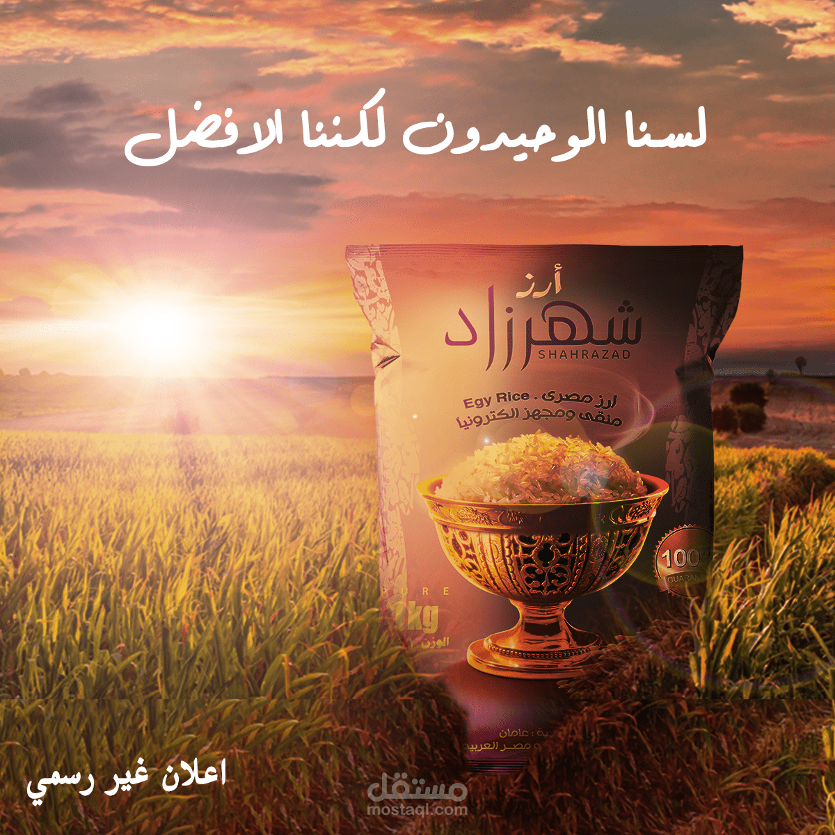 اعلان رز شهرزاد (اعلان غير رسمي)