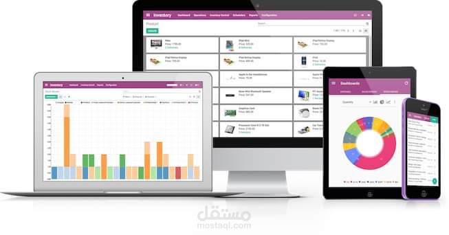 Python erp odoo system